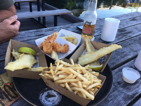 Frying Nemo - Accommodation Port Macquarie 5