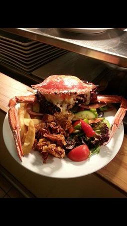 Safari Club Bar & Grill - Accommodation Port Macquarie 0