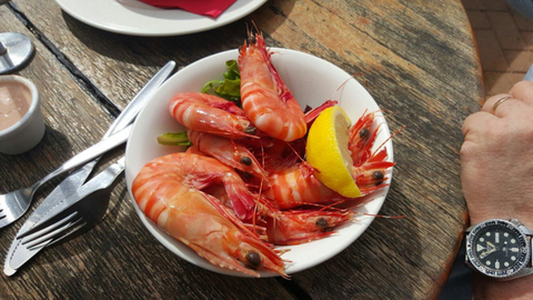 The Marlin Bar - Accommodation Port Macquarie 2