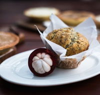 Julaymba Restaurant  Gallery - Accommodation Port Macquarie