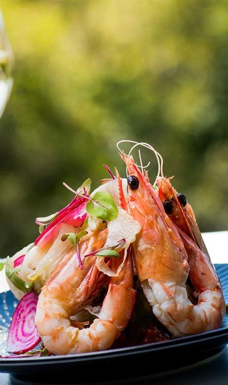 Marcellina's - Accommodation Port Macquarie 4