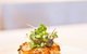 My's Restaurant - thumb 11