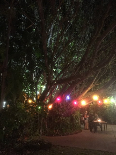 Big Fig Bistro - Accommodation Port Macquarie 7