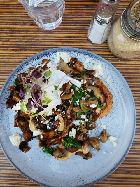 Laneway Specialty Coffee - Accommodation Port Macquarie 6