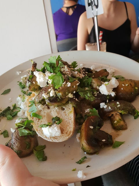 Lucky Bat Cafe - Accommodation Port Macquarie 3