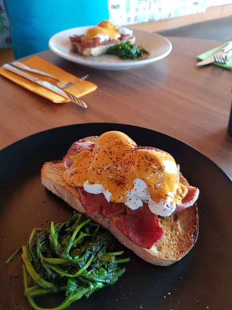 Mr Cactus Cafe - Accommodation Port Macquarie 1