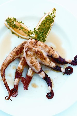 Yots Greek Taverna - Accommodation Port Macquarie 0
