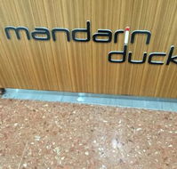 Mandarin Duck - Accommodation Port Macquarie