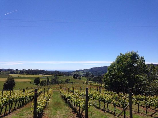 Barrington TAS Accommodation Port Macquarie