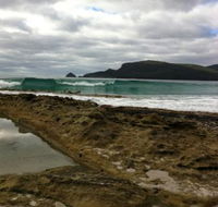 Bruny Island Berry Farm - Accommodation Port Macquarie