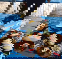 Freycinet Marine Farm - Accommodation Port Macquarie