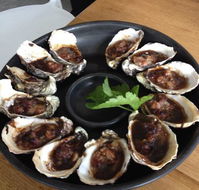 Get Shucked Oyster - Accommodation Port Macquarie