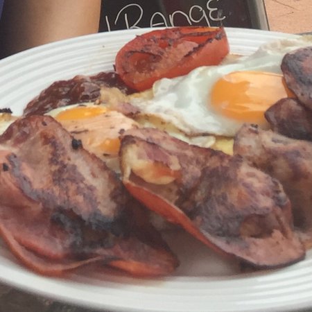 Majors Munchies - Accommodation Port Macquarie 0