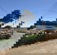 Penguin  Pardalote Coffee House - Accommodation Port Macquarie
