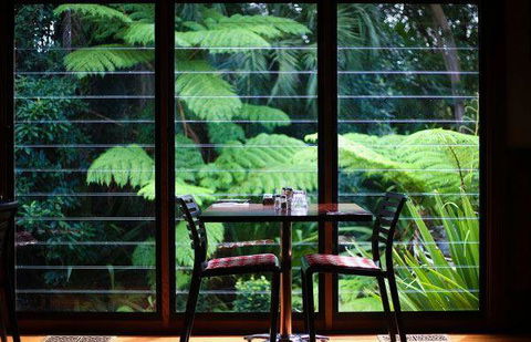 Meze Me Grove - Accommodation Port Macquarie 18