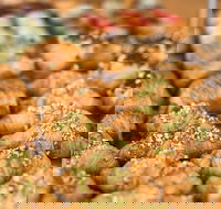 Raisin' Bakery - Accommodation Port Macquarie