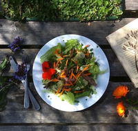 Fair Harvest Farm Cafe - Accommodation Port Macquarie