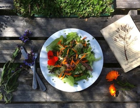 Fair Harvest Farm Cafe - Accommodation Port Macquarie 0