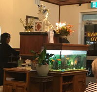 Fu Wah Chinese Restaurant and Takeaway - Accommodation Port Macquarie