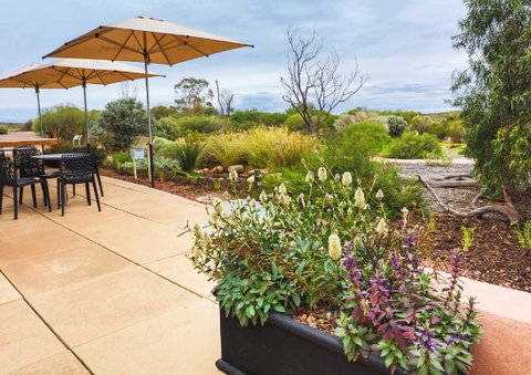 Arid Lands Botanic Garden Cafe - Accommodation Port Macquarie 0