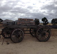 Emu Bay Lavender - Accommodation Port Macquarie
