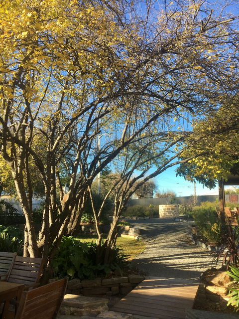 Velvet And Willow Wines - Accommodation Port Macquarie 5