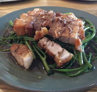 Green Peppercorn - Accommodation Port Macquarie