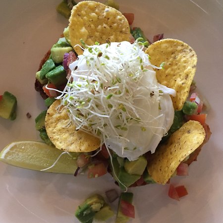 Yellowish - Accommodation Port Macquarie 0