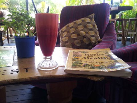 Healthy Harvest - Accommodation Port Macquarie 0