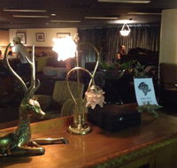 The Bison Bar - Accommodation Port Macquarie