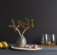 The Long Apron - Accommodation Port Macquarie