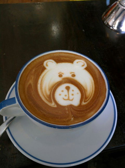 Coffee Dominion - Accommodation Port Macquarie 1