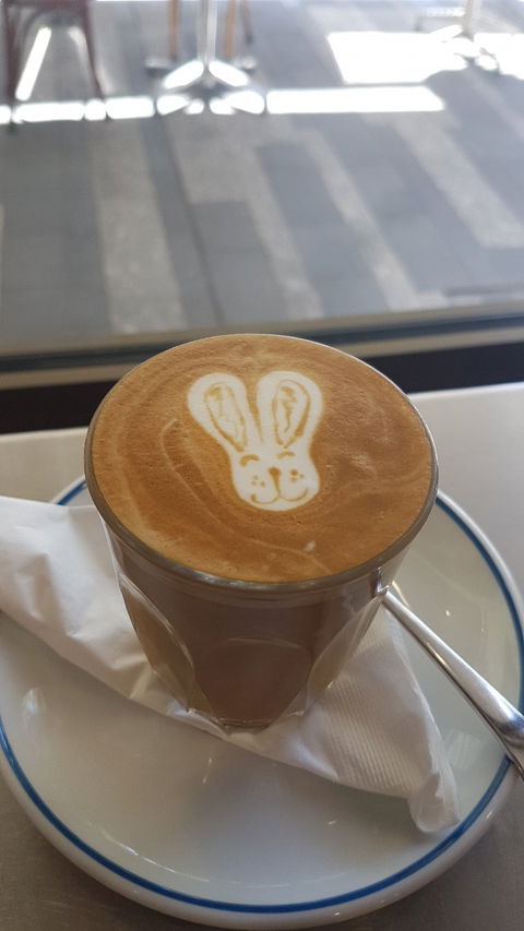 Coffee Dominion - Accommodation Port Macquarie 4