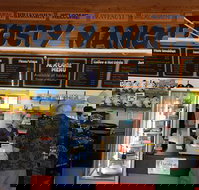 Frosty Mango - Accommodation Port Macquarie