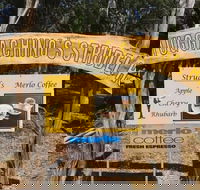 Muggachinno's - Accommodation Port Macquarie