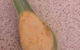Relish Tooronga - thumb 0