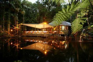 Daintree Eco Lodge & Spa - Accommodation Port Macquarie 2