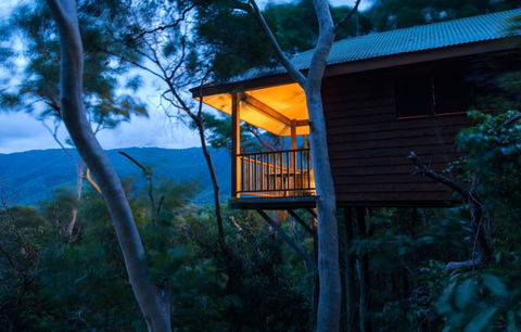 Thala Beach Nature Reserve - Accommodation Port Macquarie 0