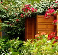 Pink Flamingo - Accommodation Port Macquarie