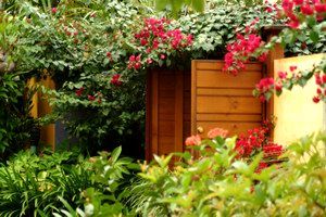 Pink Flamingo - Accommodation Port Macquarie 0