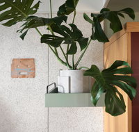 ACE Hotel Sydney - Accommodation Port Macquarie