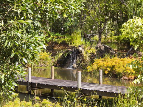 Cedar Park Rainforest Resort - Accommodation Port Macquarie 0