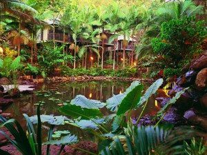Daintree Eco Lodge & Spa - Accommodation Port Macquarie 0