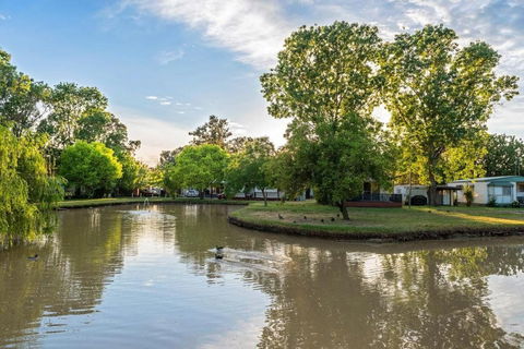 Discovery Parks Moama Maidens - Accommodation Port Macquarie 0
