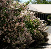 Wine Village Motor Inn - Accommodation Port Macquarie