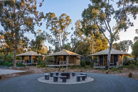 Discovery Parks Barossa Valley - Accommodation Port Macquarie 0
