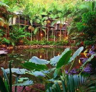Daintree Eco Lodge  Spa - Accommodation Port Macquarie