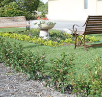 SureStay by BW The Clarence on Melville - Accommodation Port Macquarie