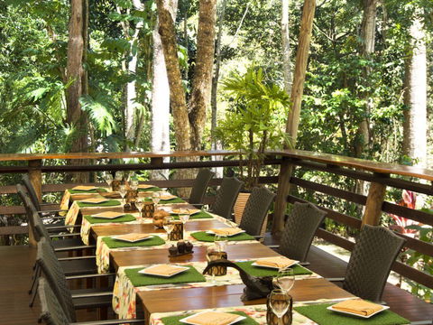 Cedar Park Rainforest Resort - Accommodation Port Macquarie 3