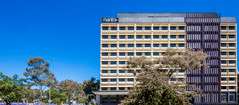 Mantra MacArthur Hotel - Accommodation Port Macquarie 0